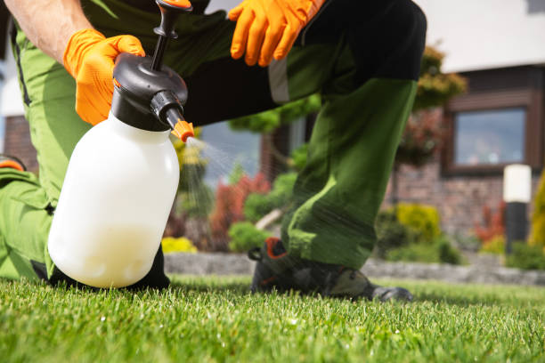 Lawn Pest Control in Kulpmont, PA